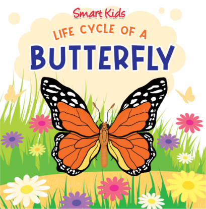 Picture of SMART KIDS LIFE CYCLE OF A BUTTERFLY